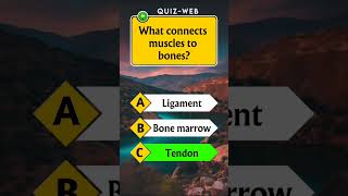 Anatomy Quiz For Americans 👀🧠🇺🇲 shortvideo shorts shortsfeed quiztime quizweb [upl. by Elnar994]