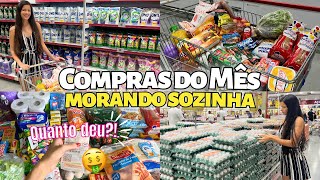 COMPRAS DO MÊS COMPLETA NO MERCADO ATACADISTA  COM VALORES [upl. by Billi]