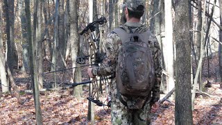 Whitetail Deer Hunting During the Rut The beginning of a newfound journey [upl. by Noellyn821]