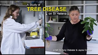 A Study of Tree Disease on St Helena  Amy Webster amp Jayne Crozier [upl. by Nairot]