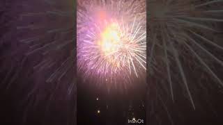 100Skyshot Testing shorts fireworks diwali hindufestival viralshort [upl. by Aicak532]