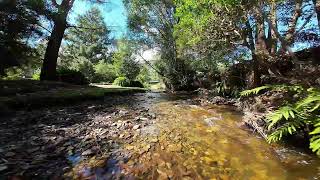 Marysville Holiday Park Video Park Entrance [upl. by Inavoig]