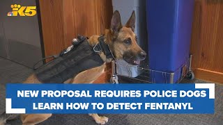 New proposal requires police dogs learn how to detect fentanyl [upl. by Anoi83]