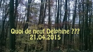 Quoi de neuf Delphine  21042015 [upl. by Ieluuk]