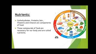 Nutrition in plants class 7th [upl. by Boucher808]