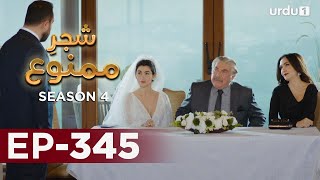 ShajareMamnu  Episode 345  Turkish Drama  Forbidden Fruit  Urdu Dubbing  6 April 2022 [upl. by Notreb]