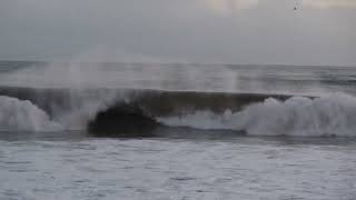 Santa Barbara  CA  Big Leadbetter Beach Harbor Surf Jan 5 2023 HD 4K [upl. by Thibaut369]