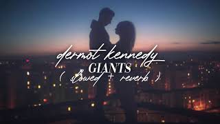 dermot kennedy  giants  slowed n reverb [upl. by Deehsar53]