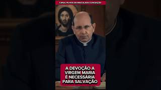 A DEVOÇÃO A VIRGEM MARIA É NECESSÁRIA PARA SALVAÇÃO  PADRE PAULO RICARDO jesus catolico maria [upl. by Eoj]