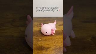 🥹🕊️ cute axolotl decoration kawaii gift [upl. by Yalc]