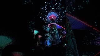 The Supertree Grove light show at Gardens by the Bayyoutubeshorts youtube vlog [upl. by Letniuq704]