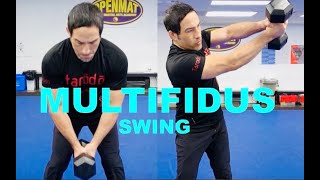 Lower Back Exercises  The Multifidus Swing [upl. by Scully]