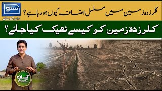 Soil salinity and its controlling methods For Farming How to Manage Soil Salinity [upl. by Yk]