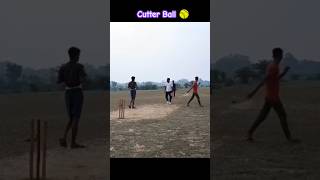 Cutter ball  WK Out  punjabi cricket cricketlife shots jiocinema trending [upl. by Lowson]