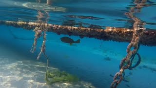 Snorkling at Sensitori Coral Sea part 2 egypt sensatori sharmelsheikh gopro sharmelsheikh [upl. by Nelleeus]