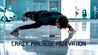 Crazy Maltese Motivation  DaïLong Huynh  Calisthenicsedits [upl. by Bel]