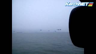 Russian Helicopters flying into Crimea [upl. by Ahsratal]