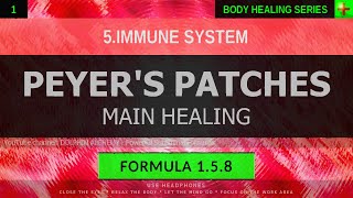 158 🎧 Healthy Peyers Patches Intestinal Immunity EXTREMELY DEEP HEALING Resonant Subliminal [upl. by Otter]