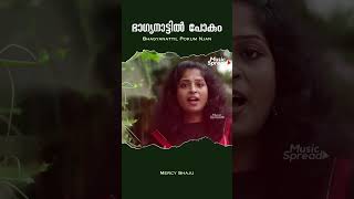 Bhagyanattil Pokum Njan  ഭാഗ്യനാട്ടില്‍ പോകും  Malayalam Christian devotional Song Music Spread [upl. by Eittod]