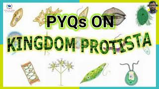 PYQs on KINGDOM PROTISTA [upl. by Leynad]