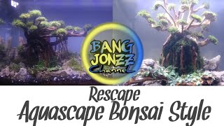 Rescape Aquascape Bonsai StyleVlog59 [upl. by Miguelita280]