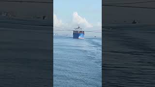 ship crossing big bridge [upl. by Selrac]