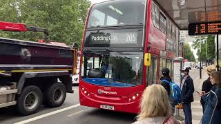 205 TfL London Bus  Euston to Paddington [upl. by Ontina]