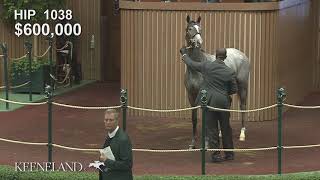 2017 Keeneland September Sale  Hip 1038 Tapit  Believe You Can filly brings 1000000 [upl. by Ateuqal]