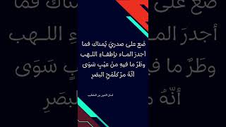 quotوطَرٌ ما فيهِ منْ عيْبٍ سوَى أنّهُ مرّ كلَمْحِ البصَرِquot لسان الدين بن الخطيب [upl. by Annette]