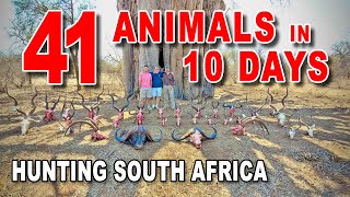 41 Animals in 10 Days  South Africa  quotSafari Abroadquot  Sandstone Safaris [upl. by Graaf]