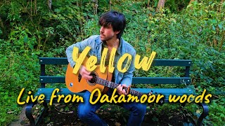 Yellow  Coldplay  Live Acoustic Cover  On A Bench In A Forest [upl. by Shakespeare]