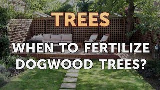 When to Fertilize Dogwood Trees [upl. by Artemahs]