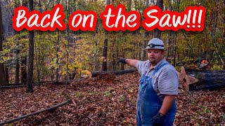 LET’S OPEN UP THE COLLIN’S TRACT TENNESSEE MULE LOGGING 165 [upl. by Moria]