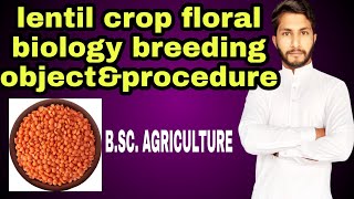 lentil crop floral biology breeding objectampprocedure [upl. by Wenonah]