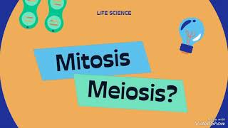 mitosis and meiosis [upl. by Bob]