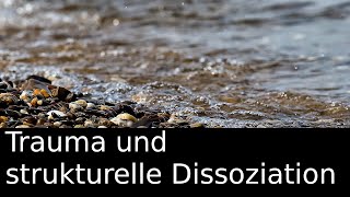 Trauma und strukturelle Dissoziation [upl. by Alvera]