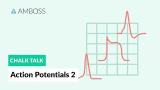 Action Potentials  Part 2 Neuronal Action Potentials [upl. by Nirat]