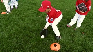 How To Teach Fielding In Tee Ball  Little League [upl. by Isolt]