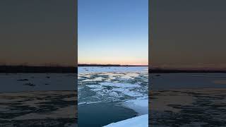 Susitna river in Talkeetna Alaska shorts [upl. by Zsazsa]