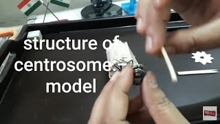 STRUCTURE OF CENTROSOME [upl. by Oettam]