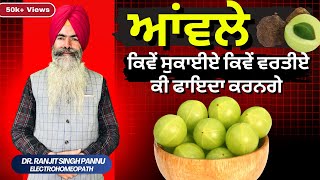 ताजा आंवला लाख का खराब आंवला सवा लाख का  100 Benefits of Aamla By Dr Ranjit Singh Pannu [upl. by Borchert]