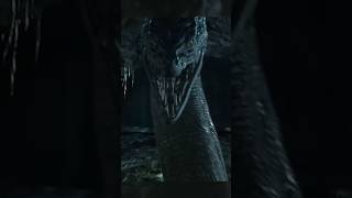 The Basilisk Has HEAT VISION  Harry Potter shorts supercarlinbrothers harrypotter [upl. by Anelys283]