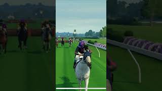 equestrian horse ￼ steeplechasing [upl. by Ellan]