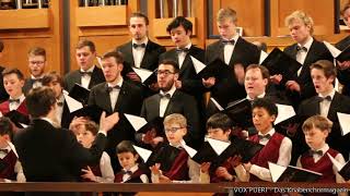 Knabenchor capella vocalis  quotHigh and blessed Trinityquot Christian Bonath Reutlingen 20012018 [upl. by Nosyerg]