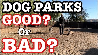 SHOULD I TAKE MY DOG TO A DOG PARK [upl. by Frentz]