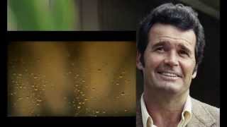 James Garner  TCM Remembers [upl. by Aidile]