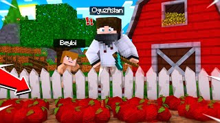 BEYBİnin DOMATES TARLASI  BeybiCraft Bölüm 10 tarım  Minecraft [upl. by Ainimreh]