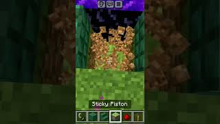 Minecraft new short video Minecraft creeper portal shorts HellFrozenBebuMonDooMiN [upl. by Ayomat]