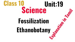 class10Unit19process of fossilization Ethanobotany [upl. by Aihsekat903]