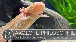 Das kategorische Axolotl [upl. by Zeiler]